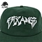 Snapbacks hat